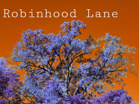 Robinhood Lane